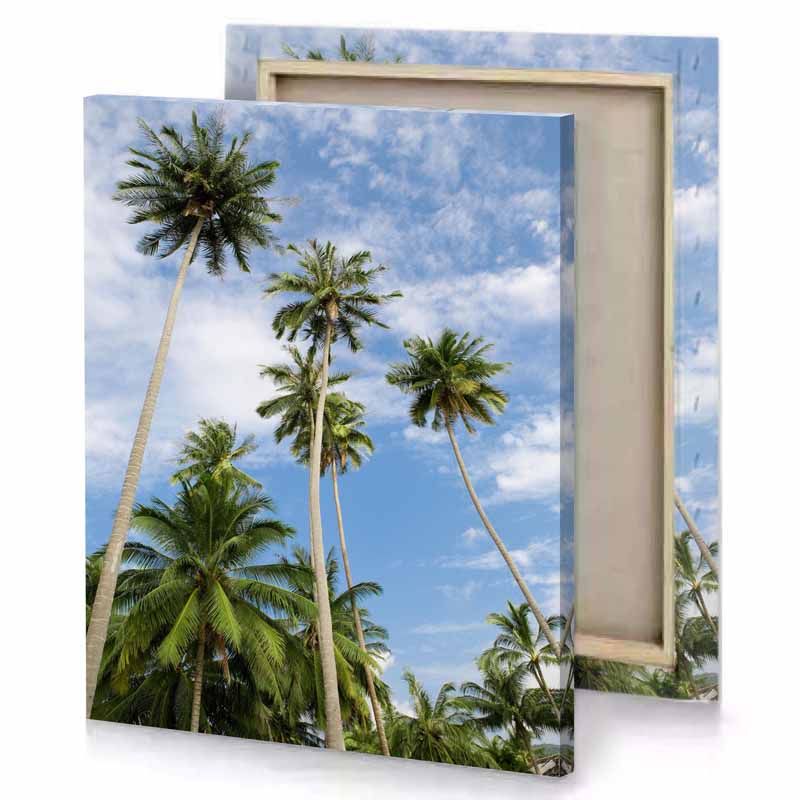 palm trees against a blue sky iceberg canvas
