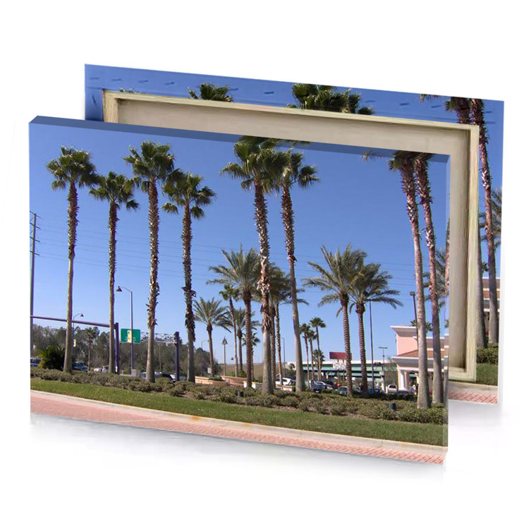 palm trees in a row iceberg canvas