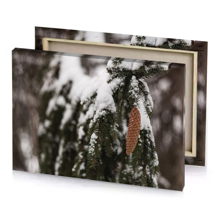 pine cones on a tree garnet canvas