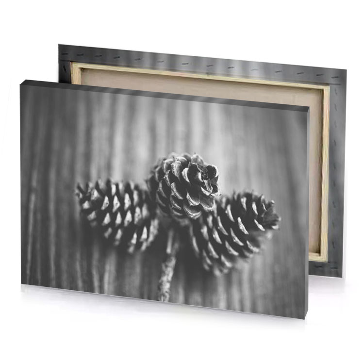 pine cones on a wooden table silver canvas
