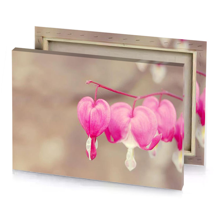 pink flowers on a branch light canvas