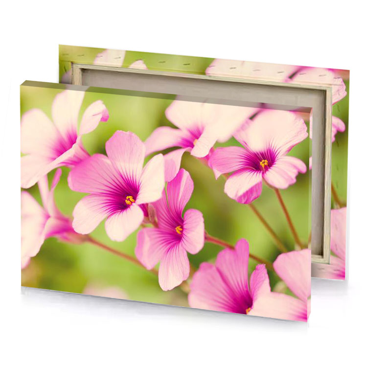 pink flowers with green background deep cerise canvas