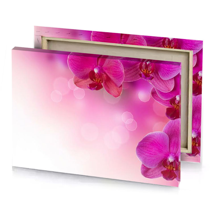 pink orchid flowers on a background cherry blossom canvas