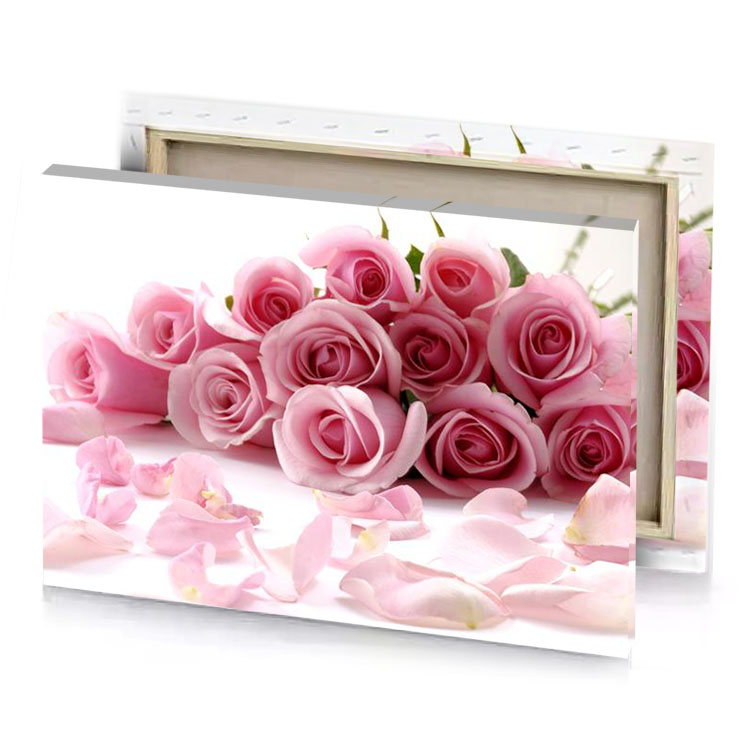 pink roses wallpapers burgundy canvas
