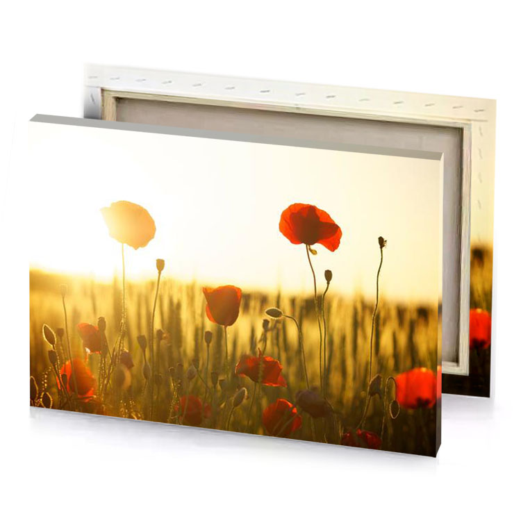 pop flowers in the sun copper canvas