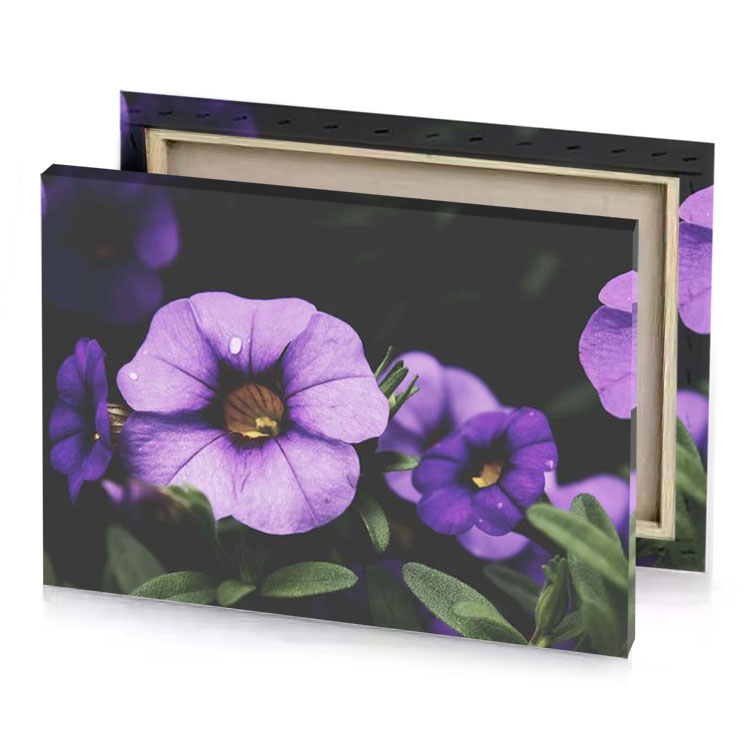purple flowers with green leaves thistle canvas