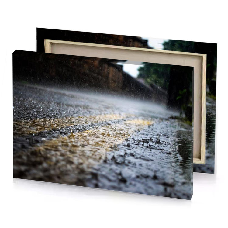rain in the city silver canvas