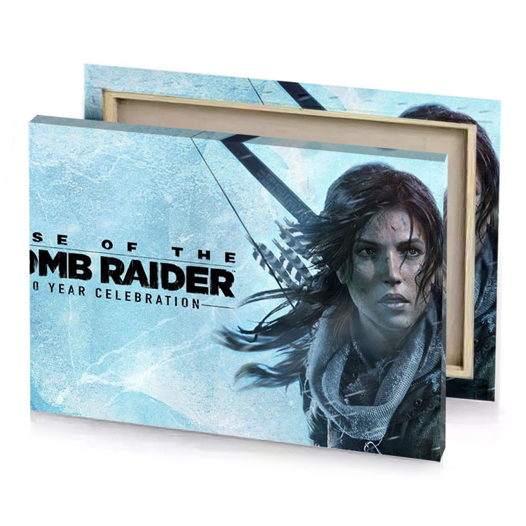 rise of the tomb raider light blue canvas