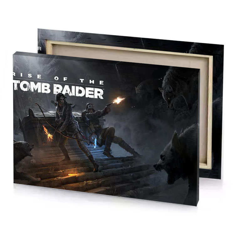 rise of the tomb raider taupe canvas