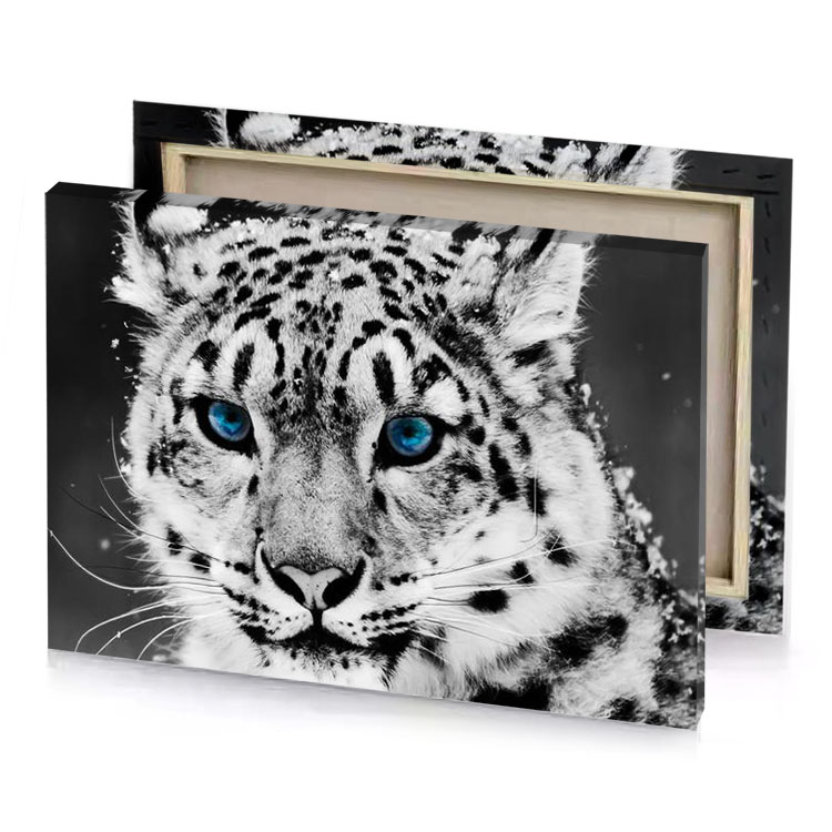 snow leopard wallpapers silver canvas