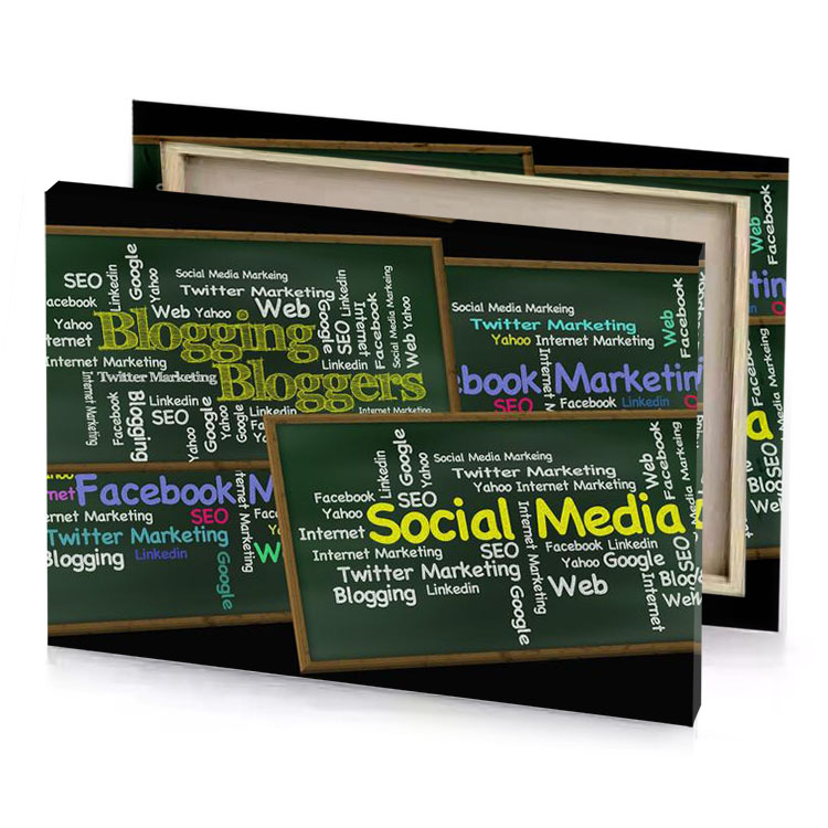 social media marketing bistre canvas