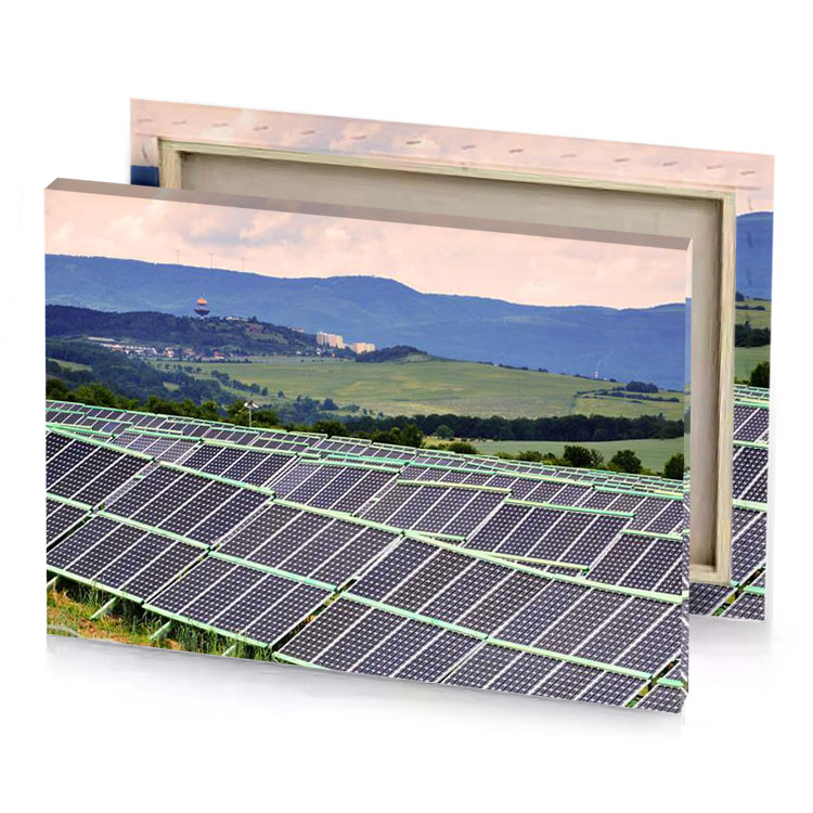 solar panels on a roof glaucous canvas