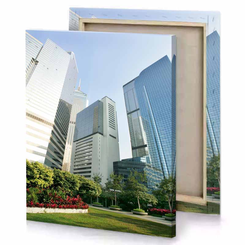 tall buildings in the background manatee canvas