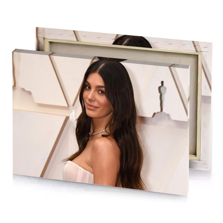 the actress is wearing a white gown and diamond necklace platinum canvas