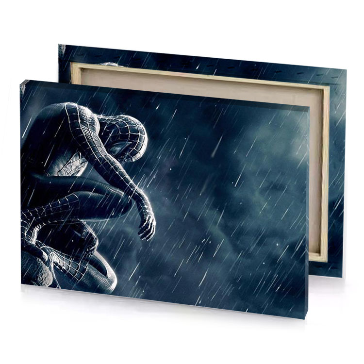 the amazing spider man in charcoal canvas
