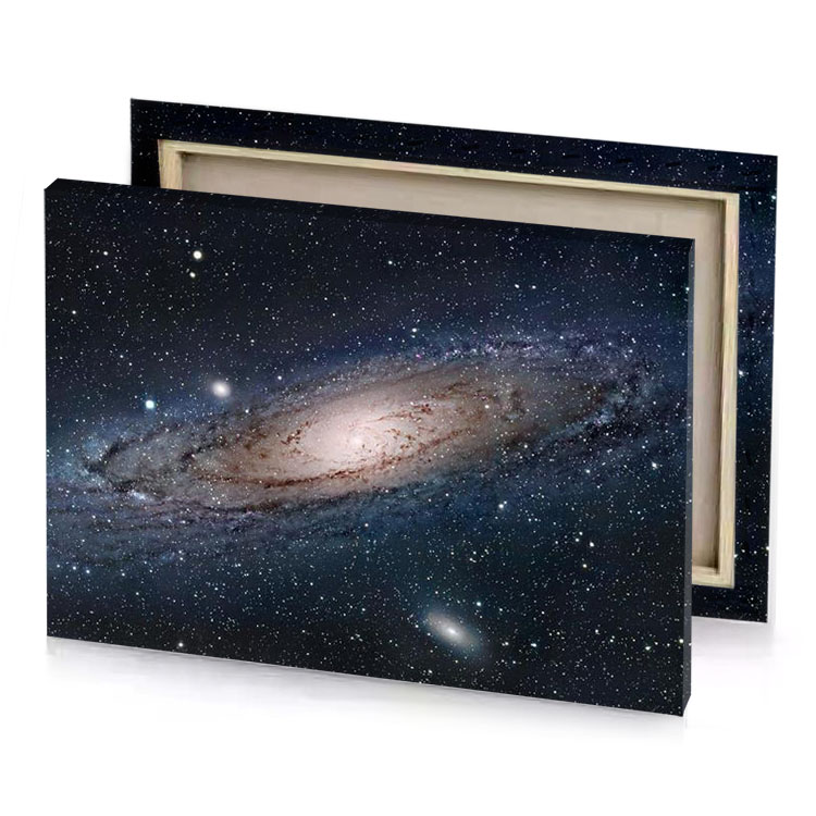 the andromus galaxy a spiral gray canvas