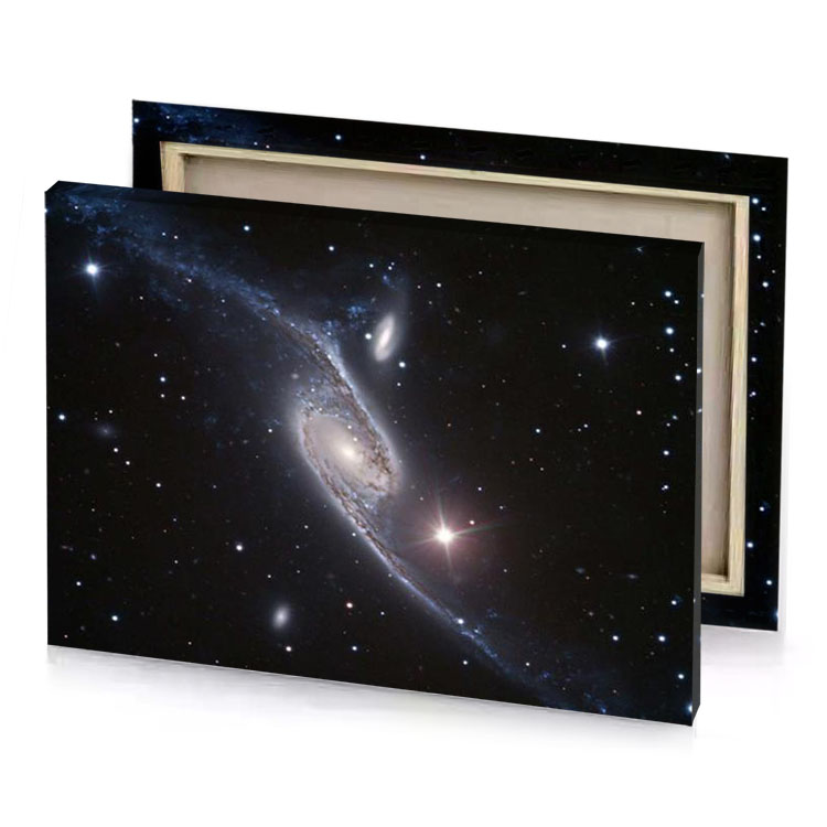 the andromus galaxy a spiral manatee canvas