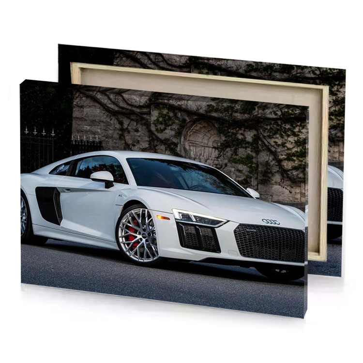the audi sports car is parked in front of a silver canvas
