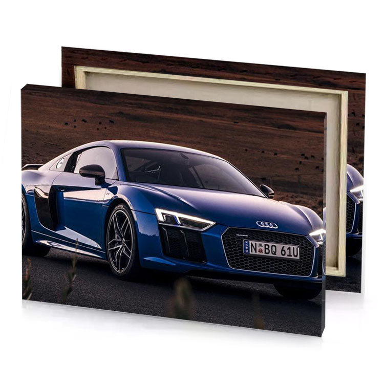 the audi sports car is shown in this image sapphire canvas