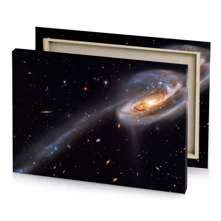 the barred galaxies a pair of are seen in this taupe canvas