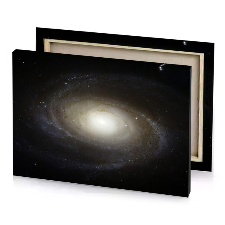 the barred galaxy a spiral camouflage green canvas