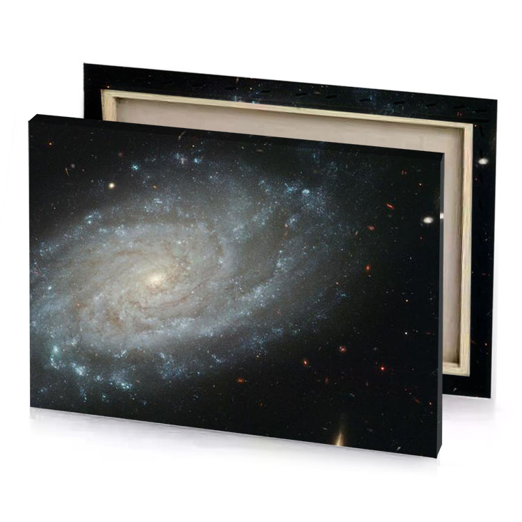 the barred galaxy m51 manatee canvas