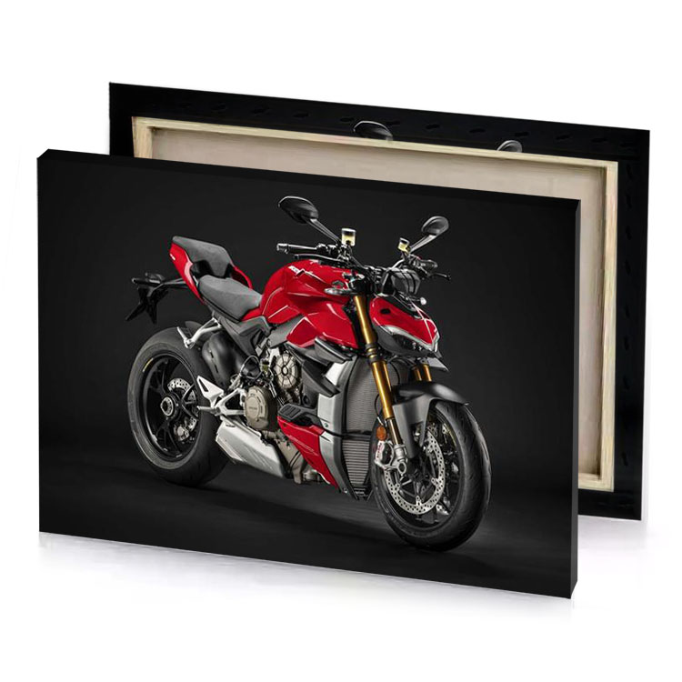 the duc is a very powerful motorcycle brown canvas