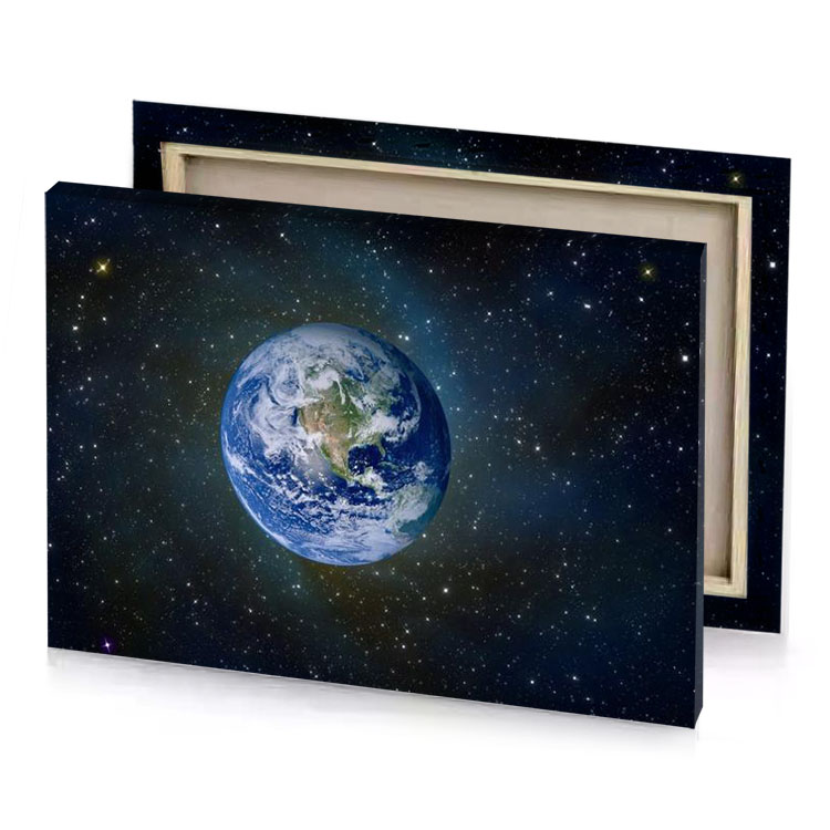 the earth in space manatee canvas