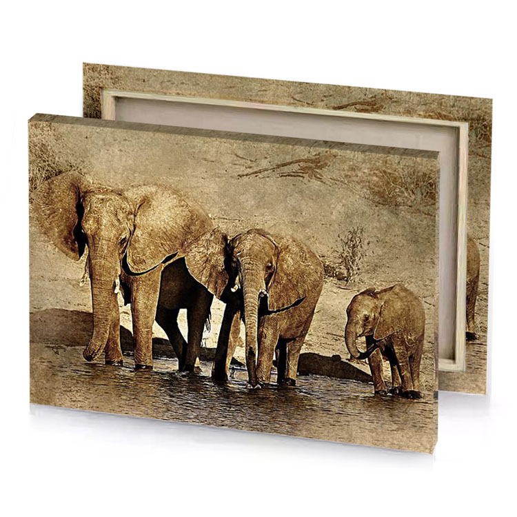 the elephants are standing in water smoky black canvas