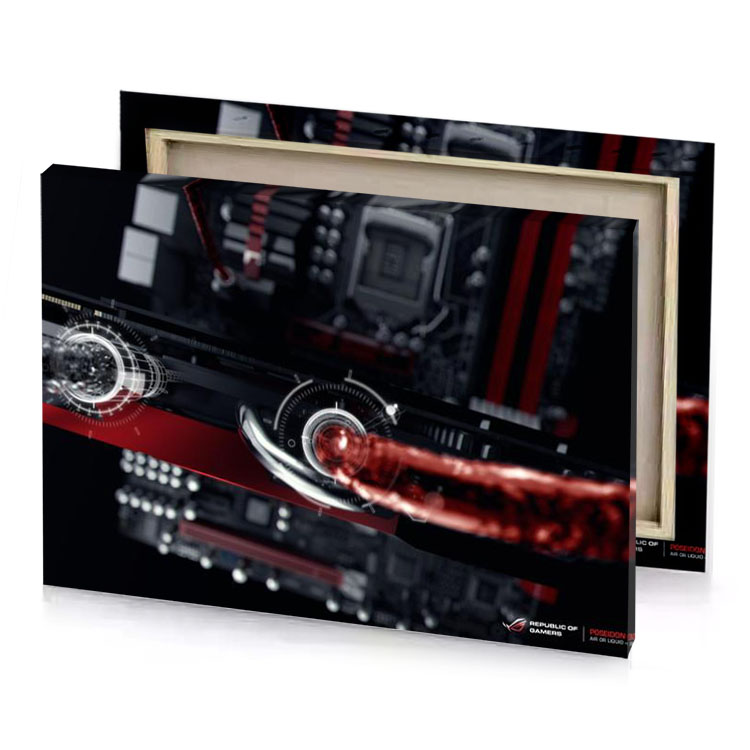 the graphics card is shown in this image garnet canvas