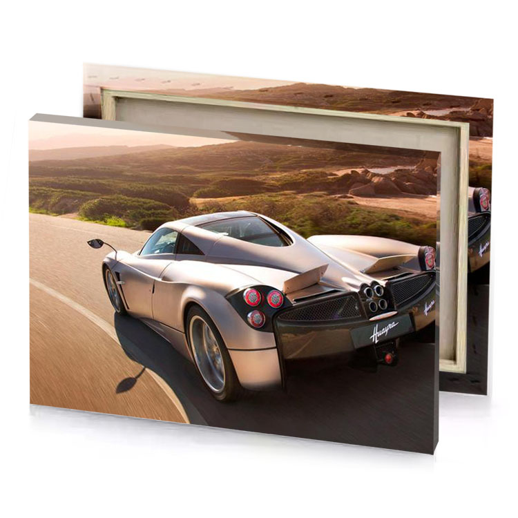 the lotus is a very small car bistre canvas