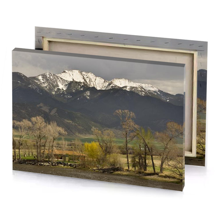 the mountains are covered with snow charcoal canvas