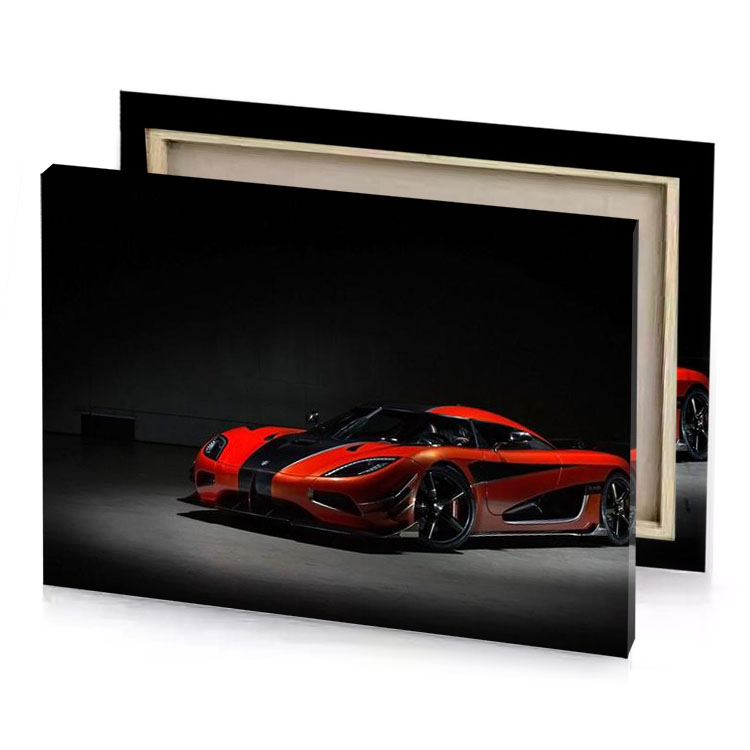 the new koi scarlet canvas