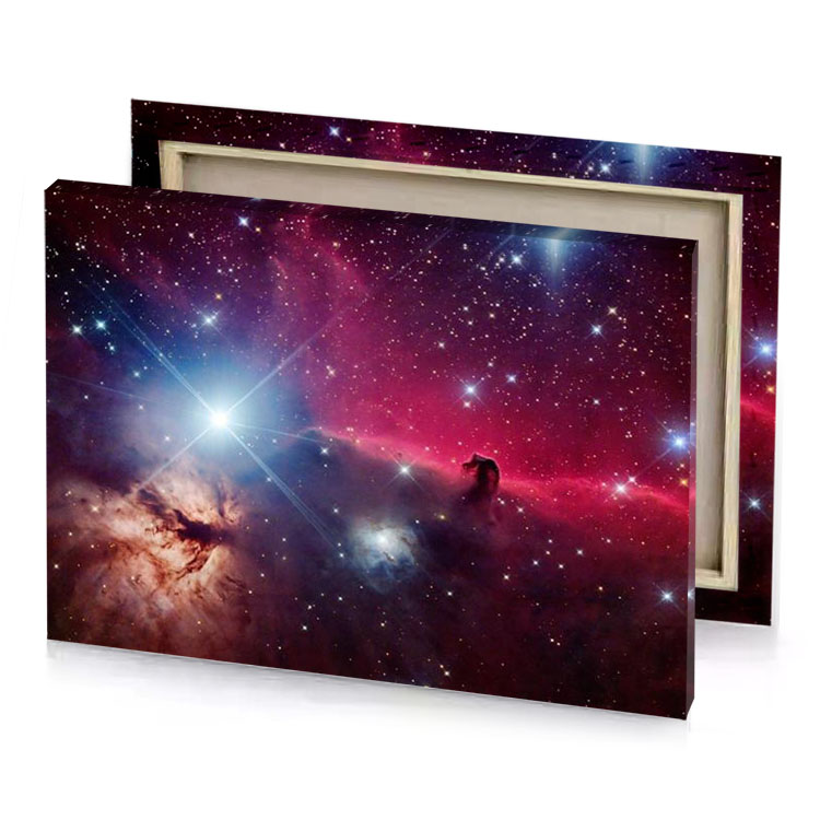 the orion nebula and its surroundings brown canvas