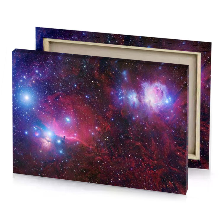 the orion nebula and its surroundings garnet canvas