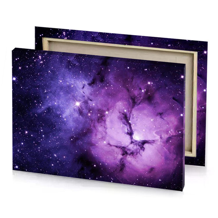 the orion nebula wisteria canvas