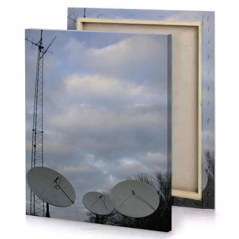 the sky is cloudy manatee canvas