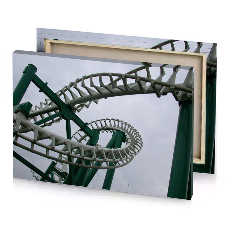 the sky is cloudy thistle canvas