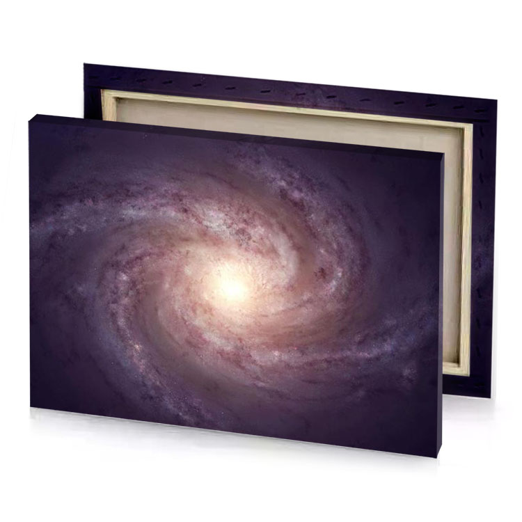 the spiral galaxy gray canvas