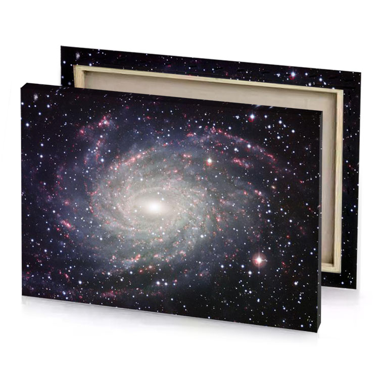 the spiral galaxy manatee canvas