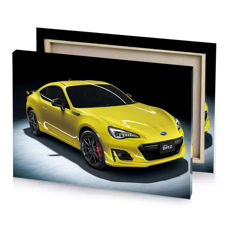 the sub golden rod canvas