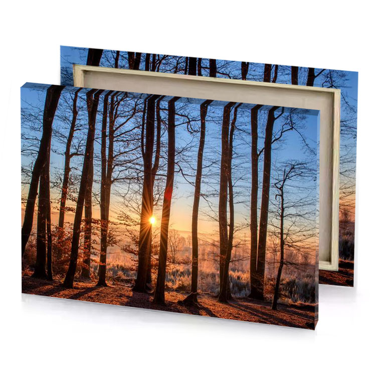 the sun is setting behind trees steel blue canvas