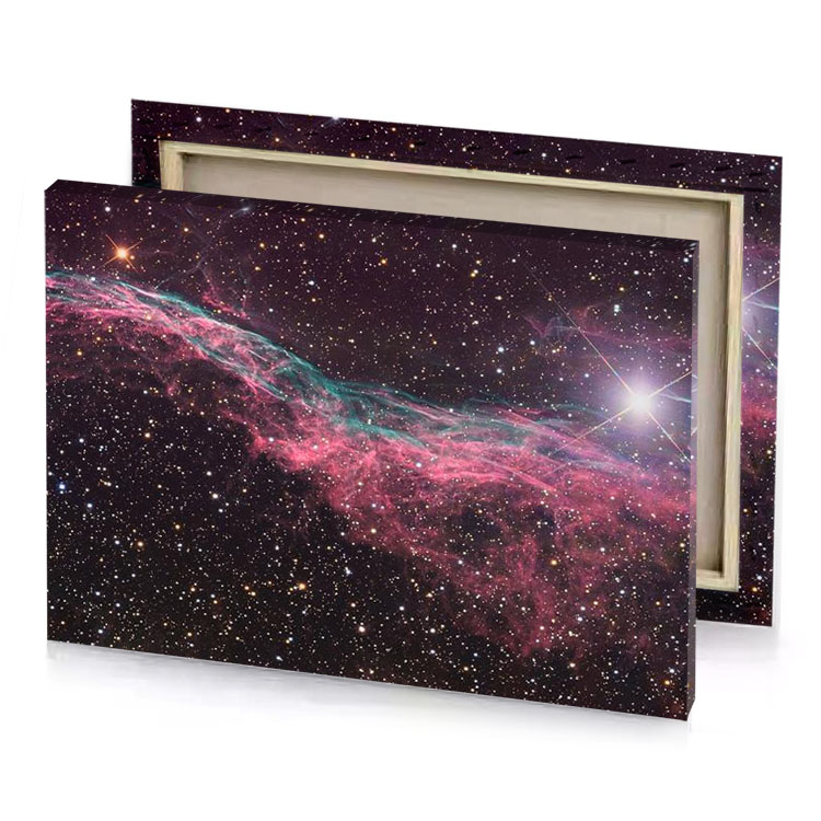 the taranui nebula fuzzy wuzzy brown canvas