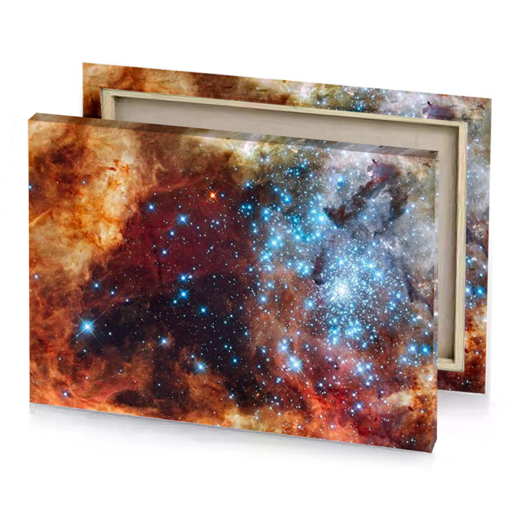 the taranuia nebula bistre canvas