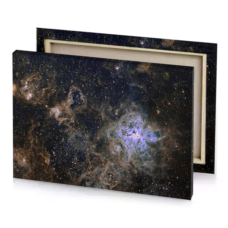 the taranuia nebula manatee canvas