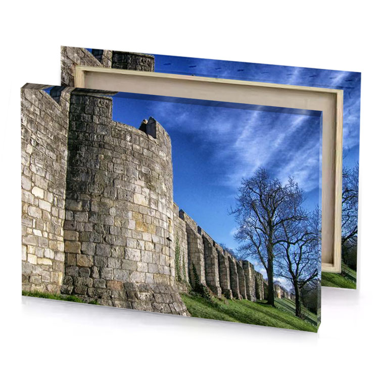 the walls of castle steel blue canvas
