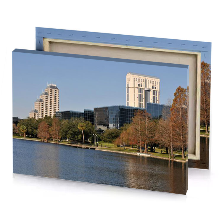 the water is calm manatee canvas