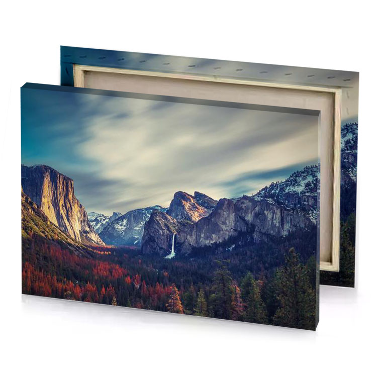 the yo silver canvas