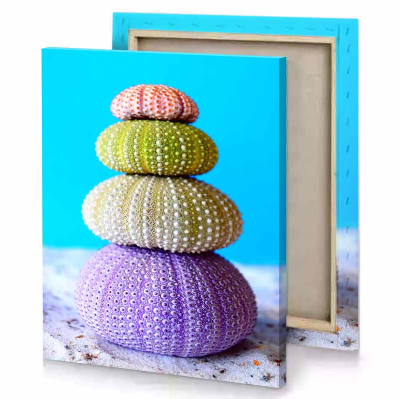 three colorful sea urchins stacked on a white sand yellow green canvas