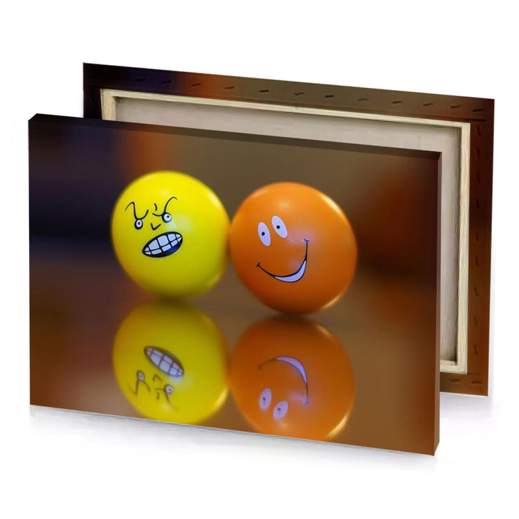 two balls with faces saddle brown canvas